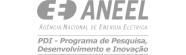 Aneel Logo